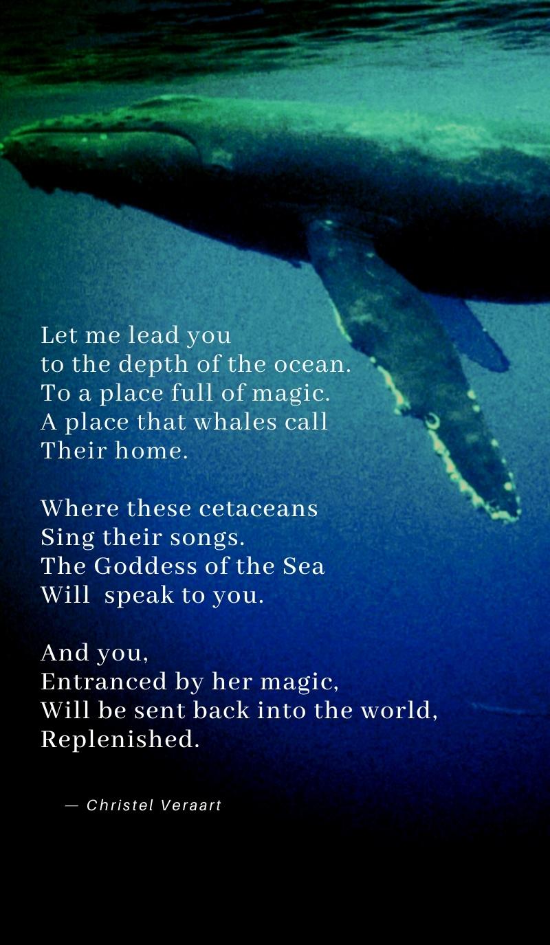 Dreaming of Whales Poem Christel Veraart